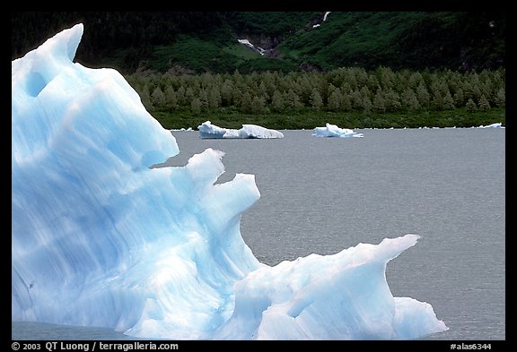 Iceberg framing Portage Lake. Alaska, USA (color)