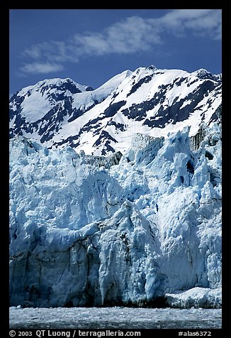 Surprise glacier. Prince William Sound, Alaska, USA