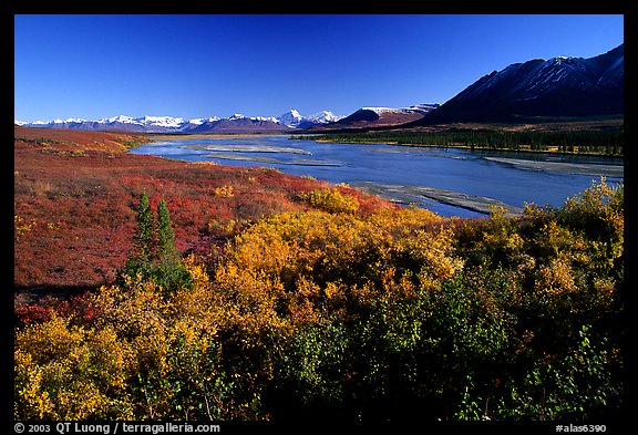 Susitna River and fall colors on the tundra. Denali Highway, Central Alaska, USA