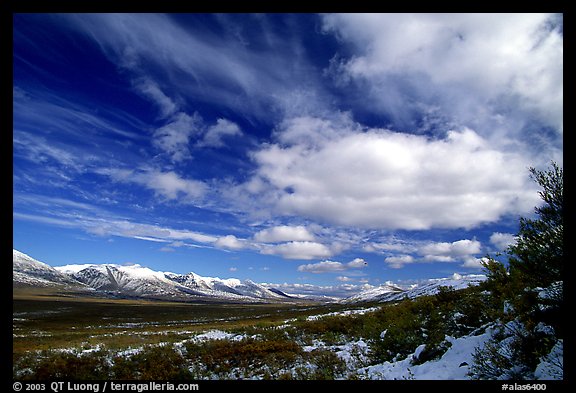 Valley and large white clouds. Alaska, USA