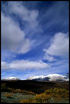 Mountain landscape with large white clouds. Alaska, USA (color)
