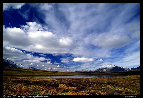 Tundra in fall color, lake, and sky dominated by large clouds. Alaska, USA