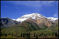 Mineralized Sheep Mountain in the Talkeetna Range. Alaska, USA