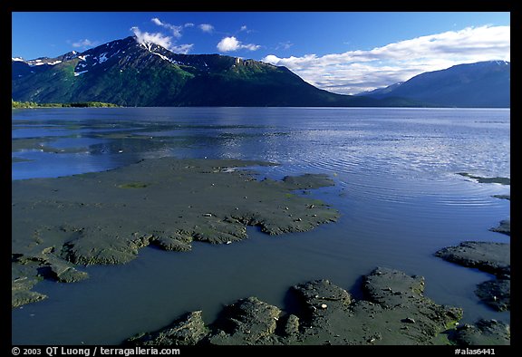 Mud flats, Turnagain Arm. Alaska, USA (color)