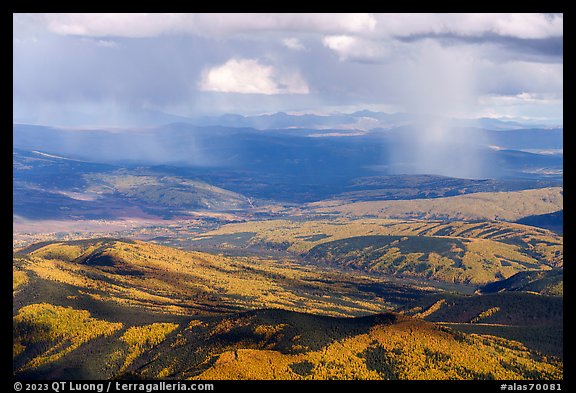 Aerial view of autumn forest with rain. Alaska, USA (color)