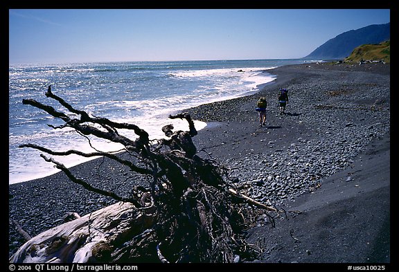 Driftwood and hikers, Lost Coast. California, USA (color)