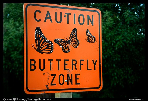 Monarch Butterfly sign. Pacific Grove, California, USA (color)