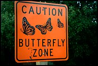 Monarch Butterfly sign. Pacific Grove, California, USA (color)