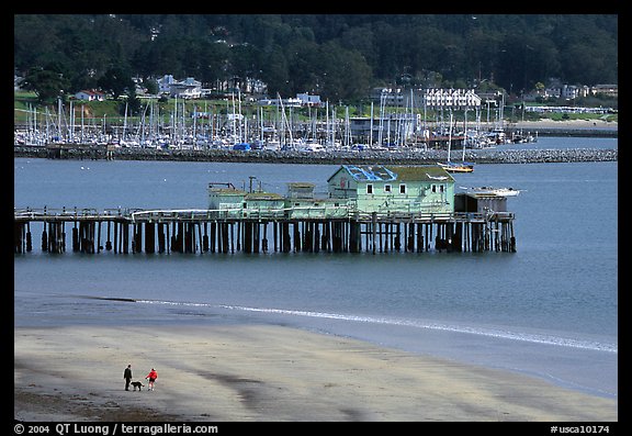 Couple on the beach and pier, Pillar Point Harbor. Half Moon Bay, California, USA (color)