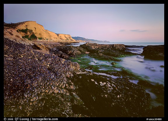 Mussels and Cliffs, Sculptured Beach, sunset. California, USA (color)