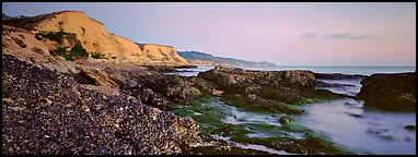 California seascape with mussels and cliffs. Point Reyes National Seashore, California, USA (Panoramic color)