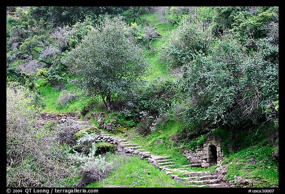 Pathway and stairs, Alum Rock Park. San Jose, California, USA (color)