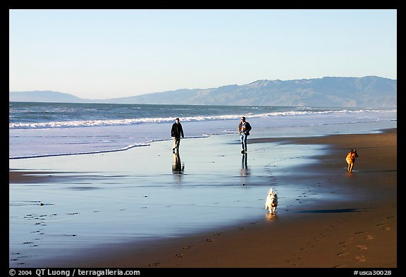People and dogs strolling on beach near Fort Funston,  late afternoon, San Francisco. San Francisco, California, USA (color)