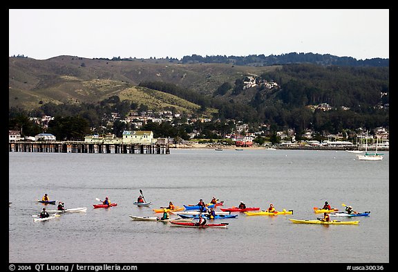 Sea kayakers, Pillar point harbor. Half Moon Bay, California, USA