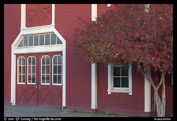 Door and tree in fall color, Red Barn. Stanford University, California, USA