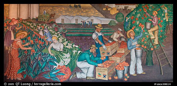 Orange-harvesting  scene depicted in a fresco inside Coit Tower. San Francisco, California, USA