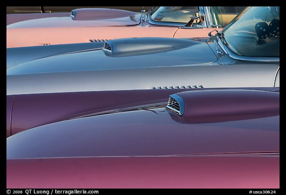 Beautifully painted thunderbird cars. Santa Cruz, California, USA