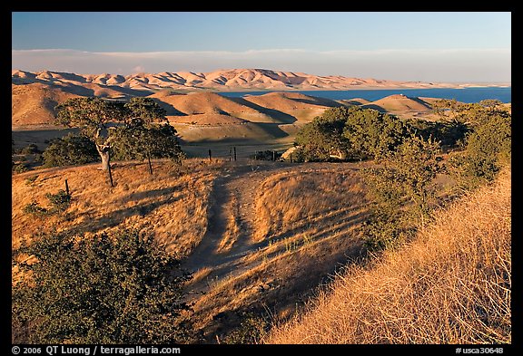 Rural path amongst oak and golden hills, San Luis Reservoir State Rec Area. California, USA (color)