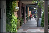 Shopping area of Santa Cruz avenue, the main downtown street. Menlo Park,  California, USA ( color)
