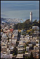 View from above of Telegraph Hill and Coit Tower, late afteroon. San Francisco, California, USA
