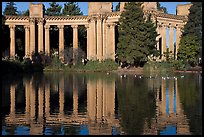 Colonades and reflection, Palace of Fine Arts, morning. San Francisco, California, USA ( color)