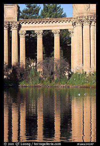 Colons and reflection, Palace of Fine Arts, morning. San Francisco, California, USA (color)