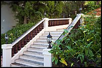Stairs and garden, Nob Hill. San Francisco, California, USA (color)