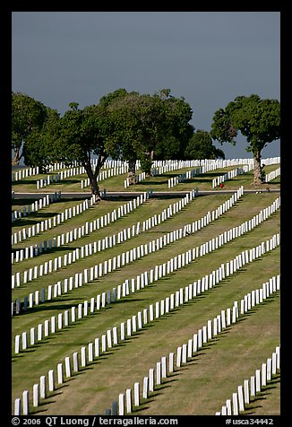 Fort Rosecrans National Cemetary, the third largest in the US. San Diego, California, USA (color)