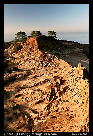 Eroded sandstone promontory,  Torrey Pines State Preserve. La Jolla, San Diego, California, USA (color)