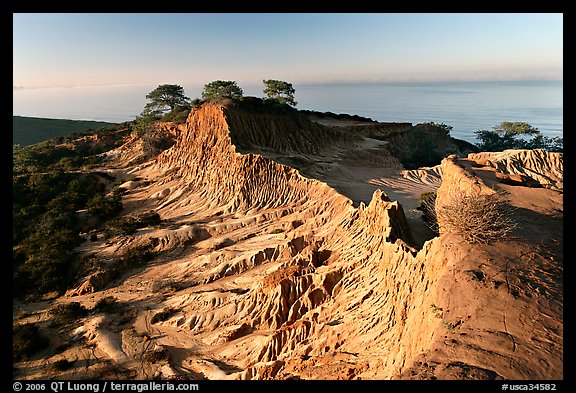 Broken Hill and Ocean,  Torrey Pines State Preserve. La Jolla, San Diego, California, USA (color)
