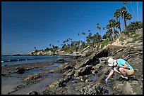 Women checking out a tidepool. Laguna Beach, Orange County, California, USA