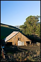 Old wooden barn. California, USA (color)