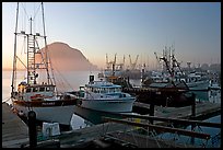 Pictures of Morro Bay
