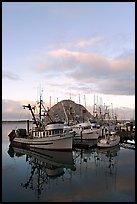 Fishing fleet and Morro Rock, sunrise. Morro Bay, USA (color)