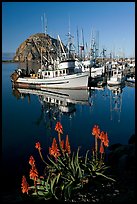 Flowers, fishing boats,and Morro Rock, morning. Morro Bay, USA (color)