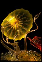 Glass artwork inspired by jellyfish, Monterey Bay Aquarium. Monterey, California, USA ( color)