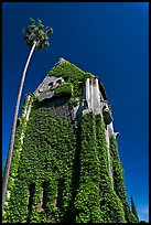 Ivy-covered Tower Hall, San Jose State University. San Jose, California, USA