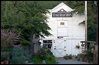 White-facaded store tucked in trees, Pescadero. San Mateo County, California, USA ( color)