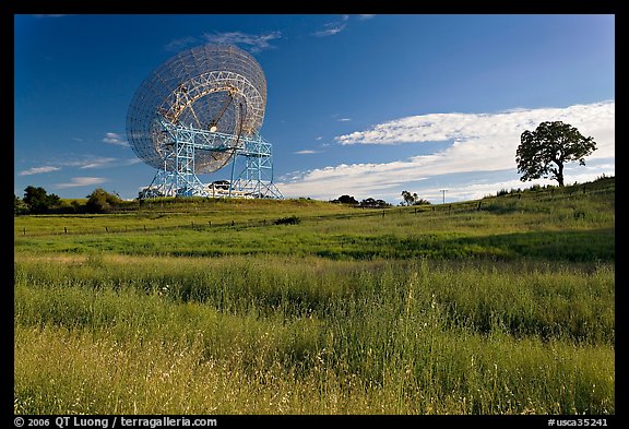 150 ft parabolic antenna known as the Dish, and tree. Stanford University, California, USA (color)