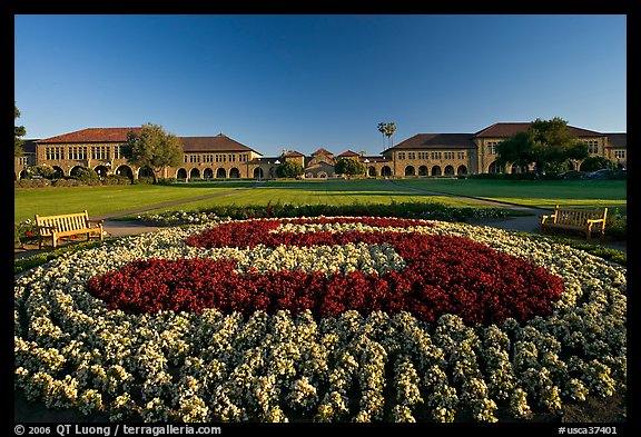 Stanford University S logo in flowers and main Quad. Stanford University, California, USA