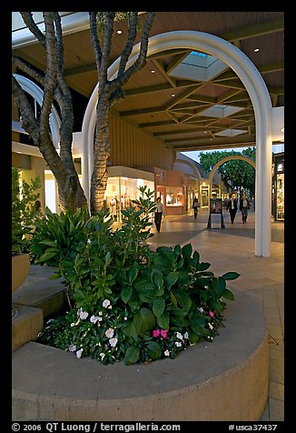 Flowers and arches, Stanford Shopping Mall, dusk. Stanford University, California, USA