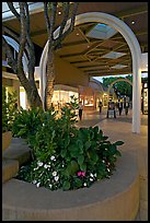Flowers and arches, Stanford Shopping Mall, dusk. Stanford University, California, USA (color)