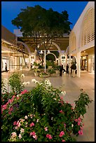 Vegetation and stores in main alley of Stanford Mall at night. Stanford University, California, USA ( color)