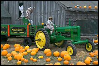 Green tractor, pumpkins, figures, and barn. Half Moon Bay, California, USA (color)