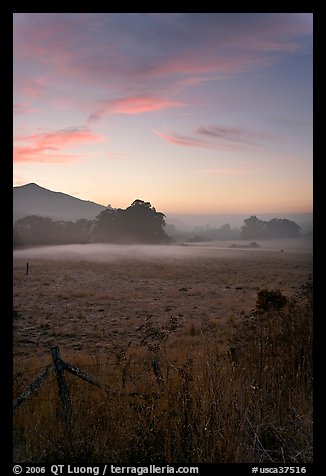 Pasture with fog at sunset. San Mateo County, California, USA