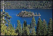 Forested slopes and Fannette Island, Emerald Bay, California. USA (color)