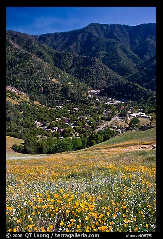 El Portal below fields of wildflowers. El Portal, California, USA (color)