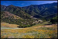 El Portal, nested below hills covered with spring flowers. El Portal, California, USA