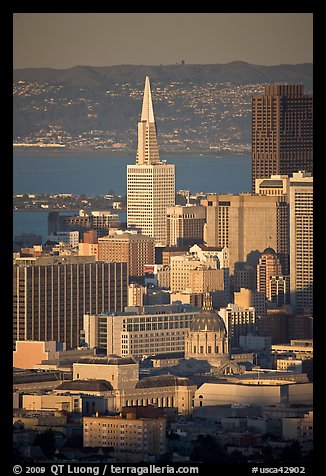City Hall and Transamerica Pyramid, late afternoon. San Francisco, California, USA
