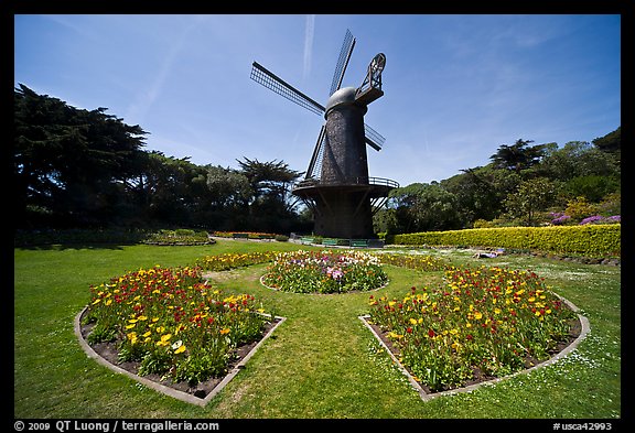 Spring flowers and old Dutch windmill, Golden Gate Park. San Francisco, California, USA
